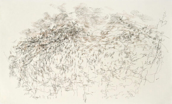 Accumulations: 50 Years of Drawing by Ann Kipling | Art Exhibition ...